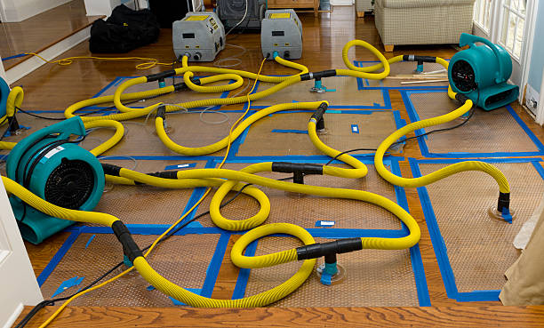 Professional Basement Flood Cleanup technician working in Glenwood, IA
